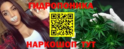 твердый Будённовск